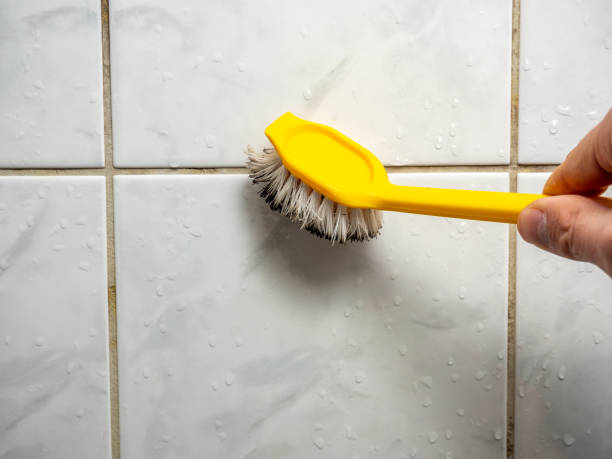 Best Toxic Mold Removal  in Bridge City, TX