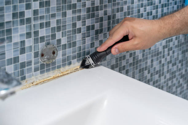 Best Office Mold Removal Services  in Bridge City, TX