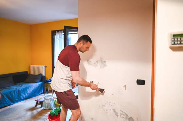 Best Best Mold Removal Companies  in Bridge City, TX